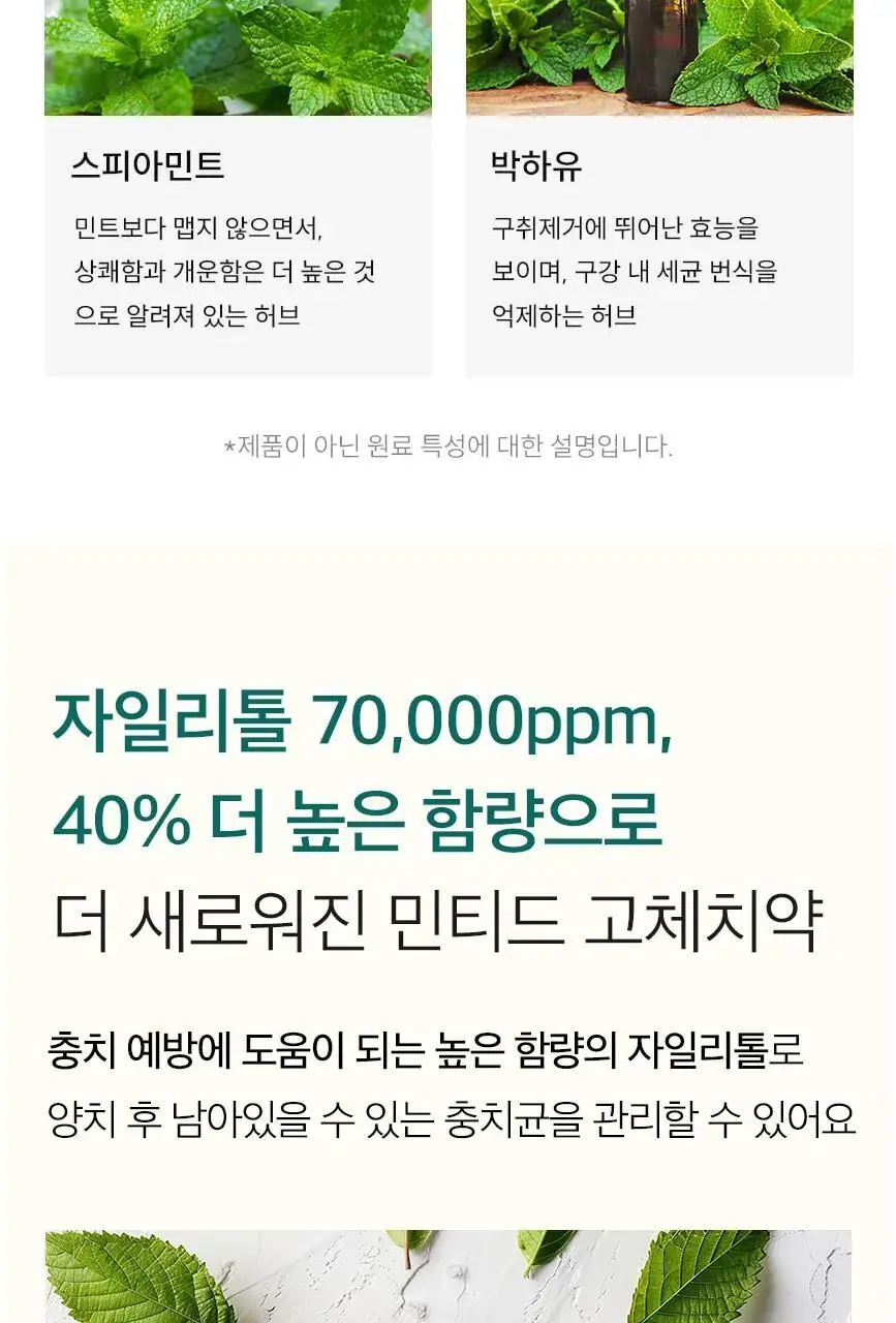 [불소 포함] 민티드 울트라민트 고체치약 90정 더블기획(+리필 90정) 상세페이지 13
